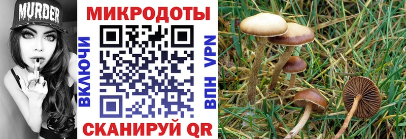 Псилоцибиновые грибы мухоморы  Краснослободск 